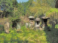 善神王社　馬場尾白水